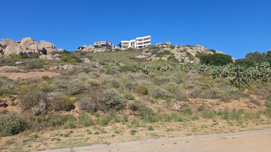 0 Bedroom Property for Sale in Blueberry Hill Western Cape